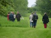Quelques visiteurs dans le jardin