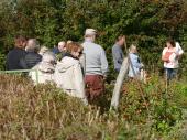 Groupe de visiteurs dans le potager