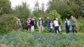 Groupe de visiteurs dans le potager