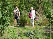 Portes ouvertes 2020 Animation au jardin potager