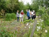 Groupe de visiteurs au potager