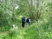 Petit groupe partant vers la butte