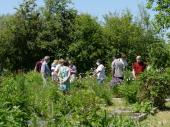 Groupe de visiteurs au potager