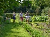 Visiteurs dans le potager