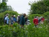 Groupe de visiteurs au potager 