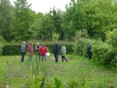 Groupe de visiteurs au potager 