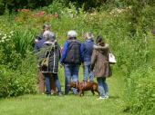 Groupe de visiteurs dans le jardin 