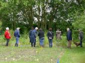 Groupe de visiteurs au potager 