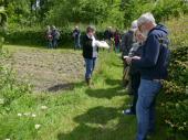 Groupe de visiteurs au potager 
