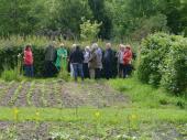 Groupe de visiteurs au potager 