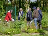 Groupe de visiteurs au potager 