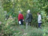 Groupe de visiteurs dans le jardin