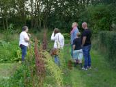 Groupe de visiteurs au potager